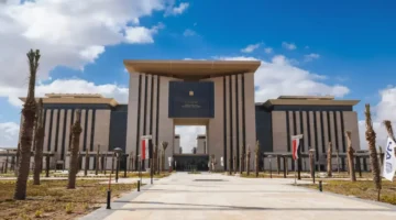 الفيديوهات التي تعرض المصريين بالخارج لمخاطر قانونية.. كيف يؤثر الرقم الطارئ على حماية المغتربين؟ 1